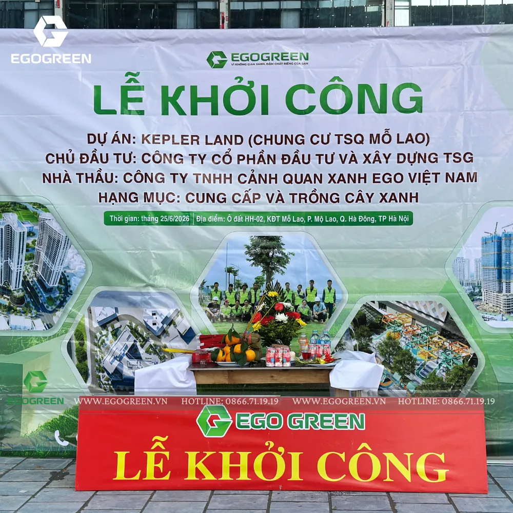EGOGREEN đảm nhận hạng mục cung cấp và trồng cây xanh cho dự án Kepler Land.